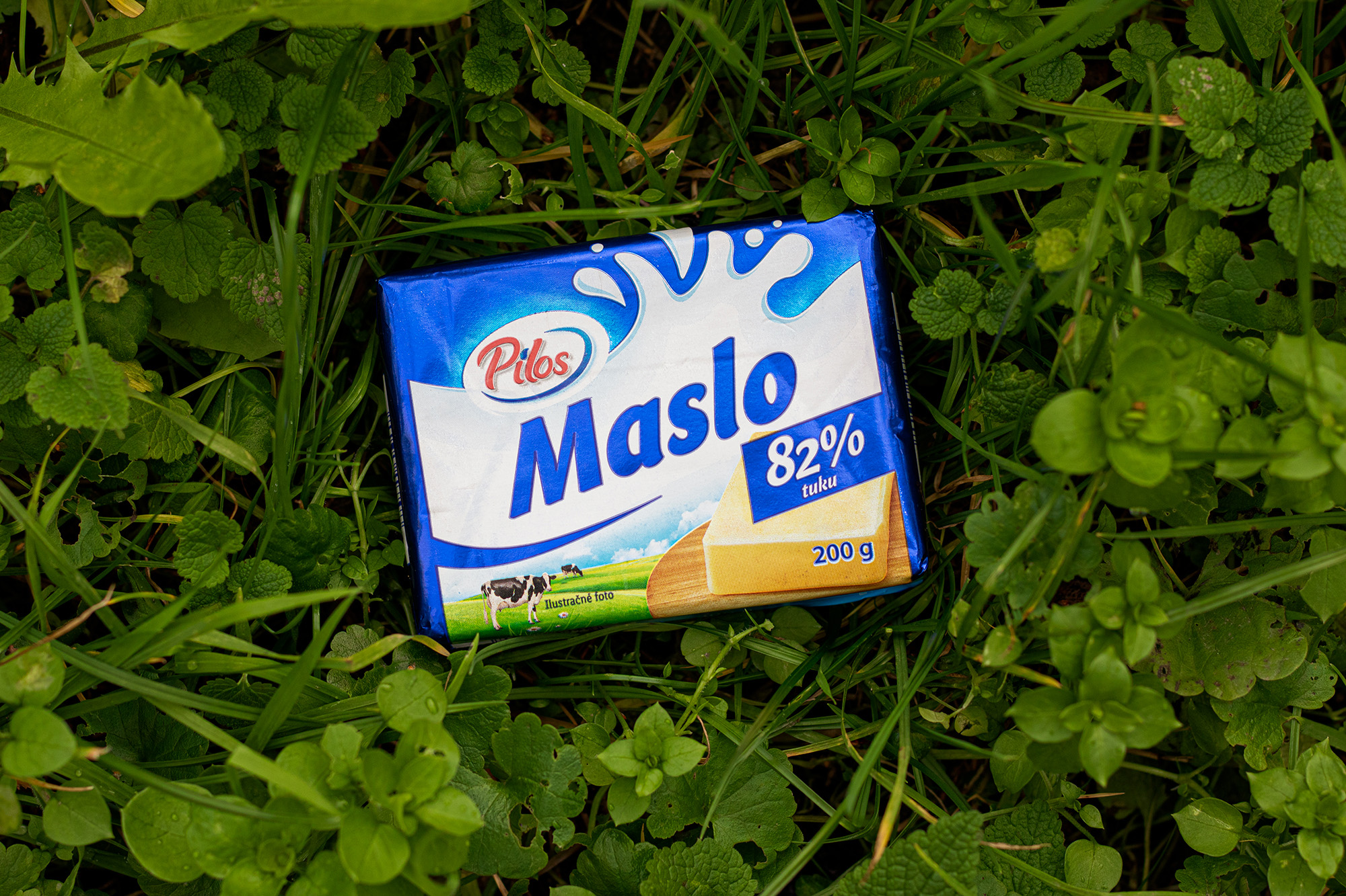 maslo
